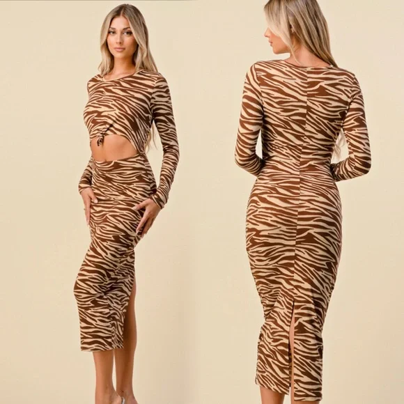 Brown Zebra Print Two-Piece Set - Picture 5 of 5